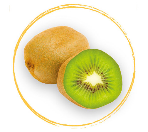 Fruits Rouges IQF Kiwi Slices