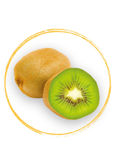 Fruits Rouges IQF Kiwi Slices